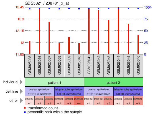 Gene Expression Profile