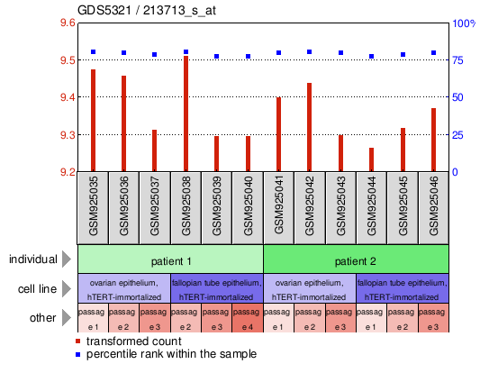 Gene Expression Profile