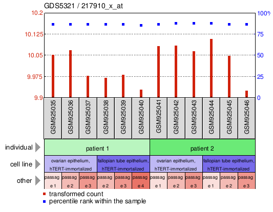 Gene Expression Profile