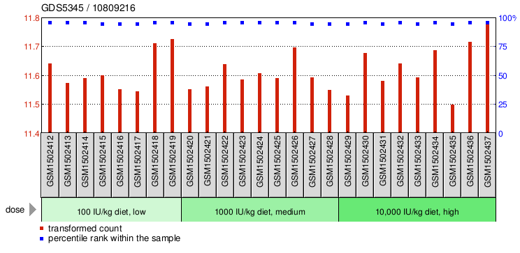 Gene Expression Profile