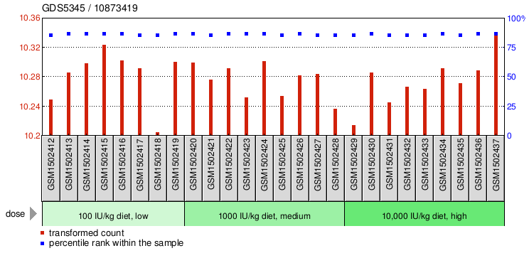 Gene Expression Profile