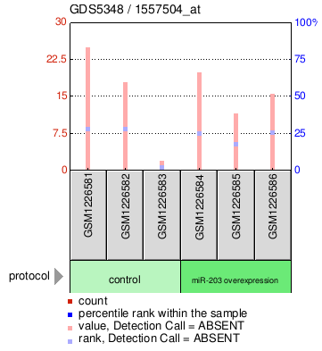 Gene Expression Profile