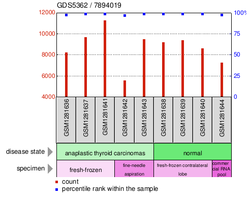 Gene Expression Profile