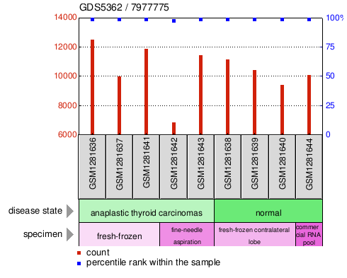 Gene Expression Profile