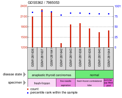 Gene Expression Profile