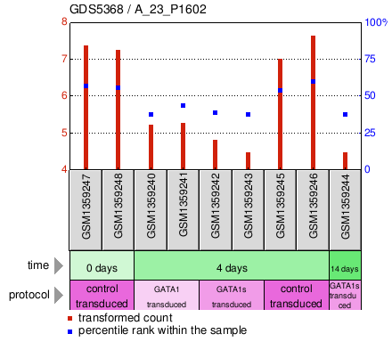 Gene Expression Profile