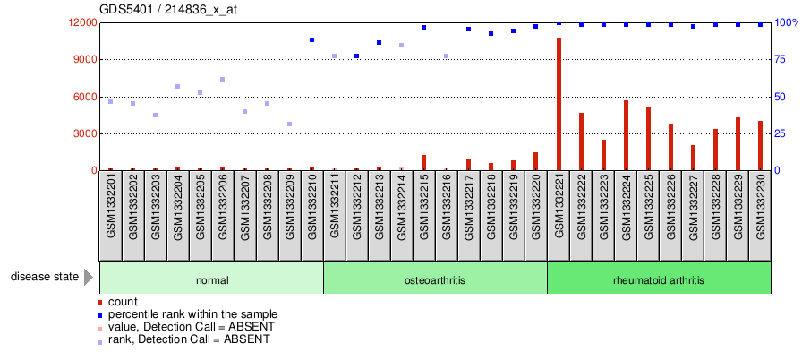 Gene Expression Profile