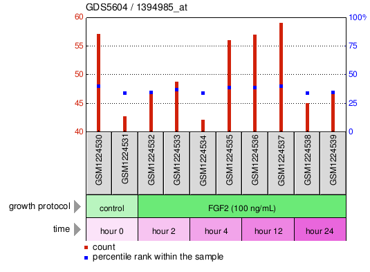 Gene Expression Profile