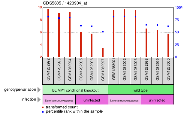 Gene Expression Profile