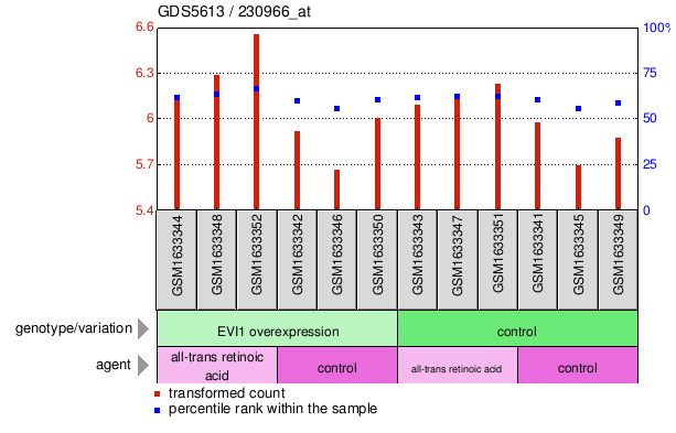 Gene Expression Profile