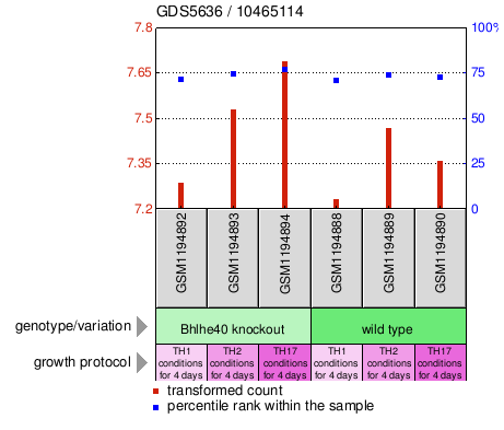 Gene Expression Profile