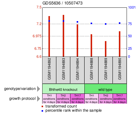 Gene Expression Profile