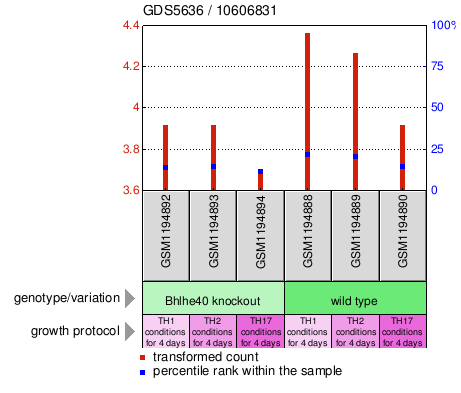 Gene Expression Profile