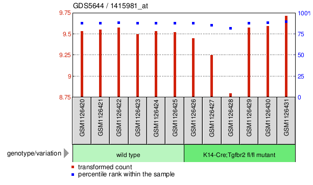 Gene Expression Profile