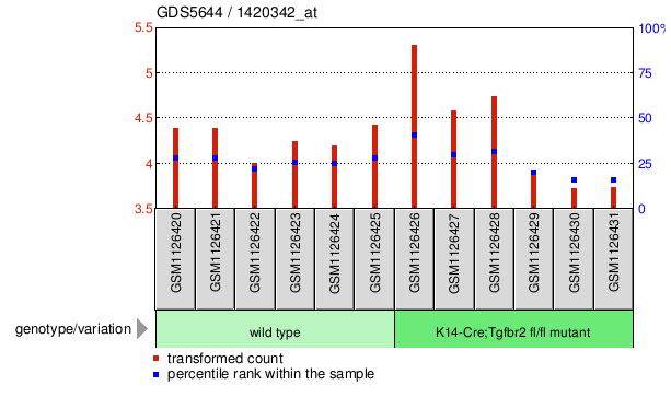 Gene Expression Profile