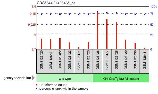 Gene Expression Profile