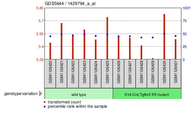 Gene Expression Profile