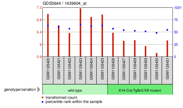 Gene Expression Profile