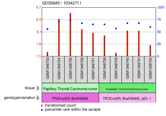 Gene Expression Profile