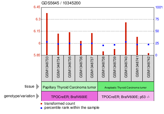 Gene Expression Profile