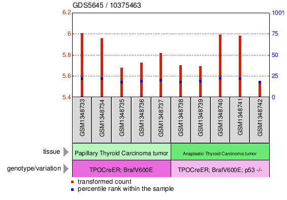 Gene Expression Profile