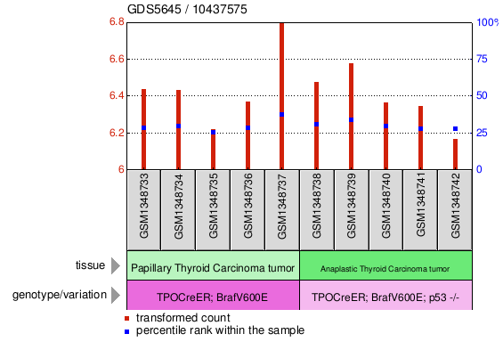 Gene Expression Profile