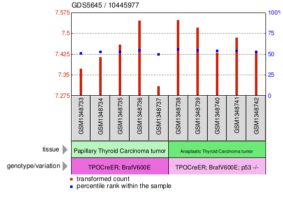 Gene Expression Profile