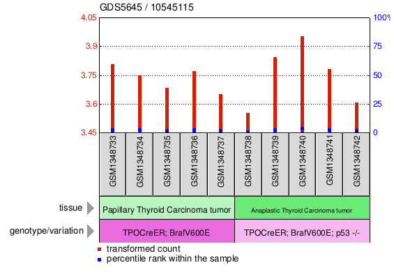 Gene Expression Profile