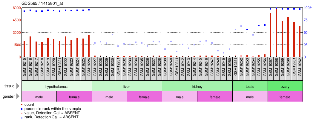 Gene Expression Profile