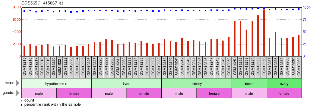 Gene Expression Profile