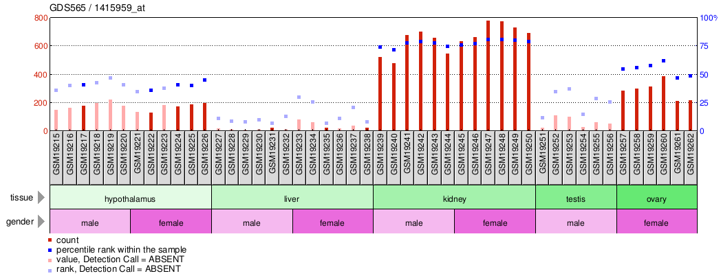 Gene Expression Profile