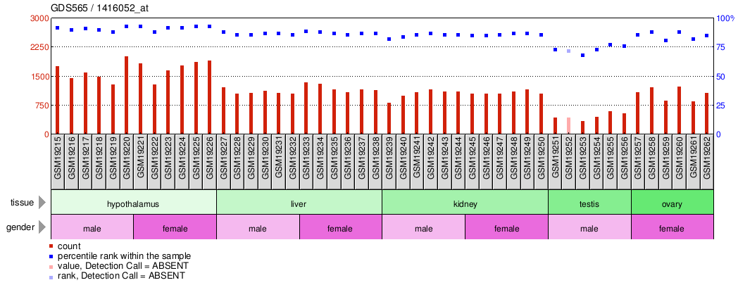 Gene Expression Profile