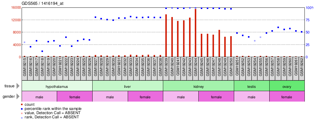 Gene Expression Profile