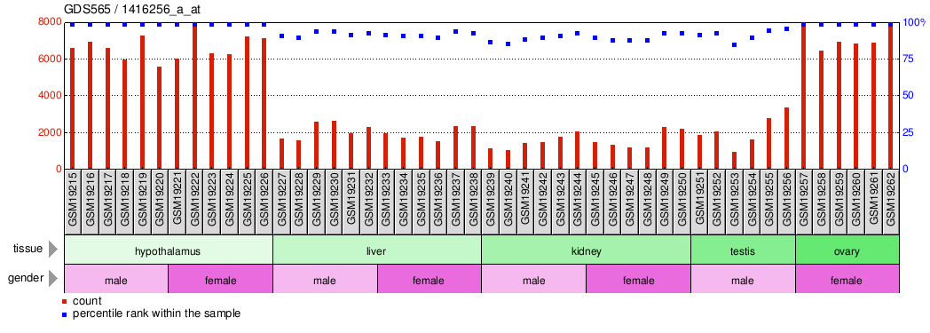 Gene Expression Profile