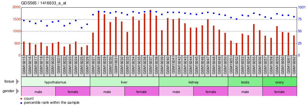 Gene Expression Profile