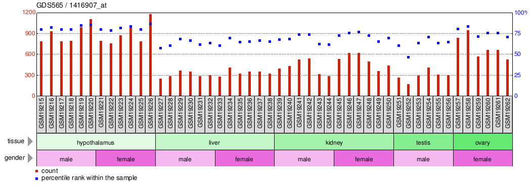 Gene Expression Profile