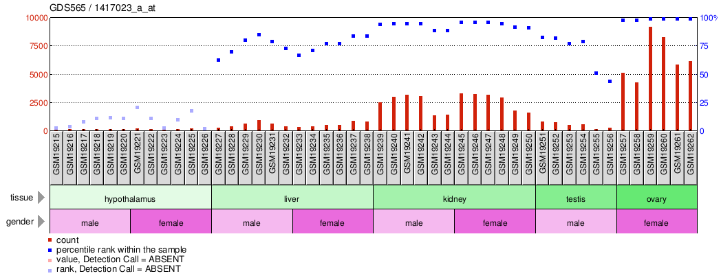 Gene Expression Profile