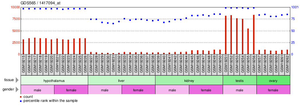 Gene Expression Profile