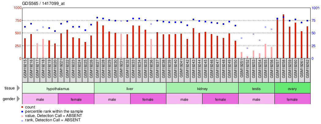 Gene Expression Profile