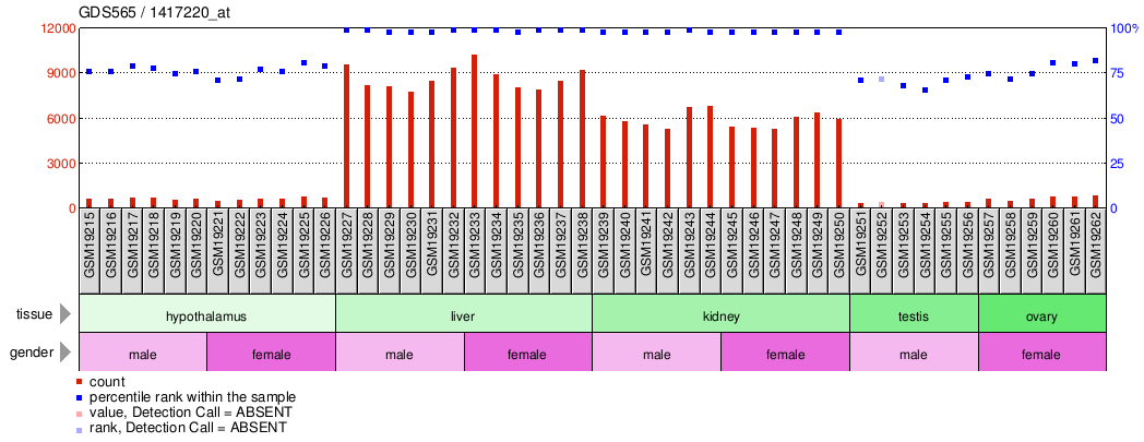 Gene Expression Profile