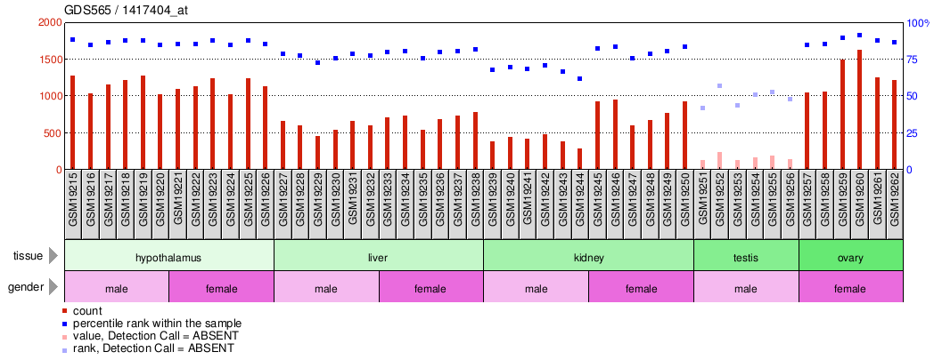 Gene Expression Profile