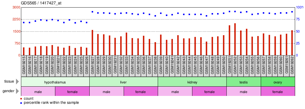 Gene Expression Profile