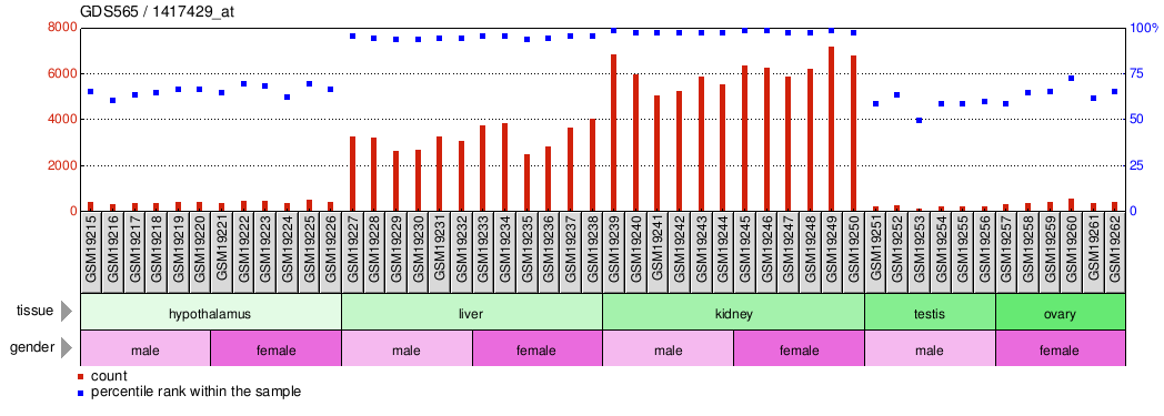 Gene Expression Profile