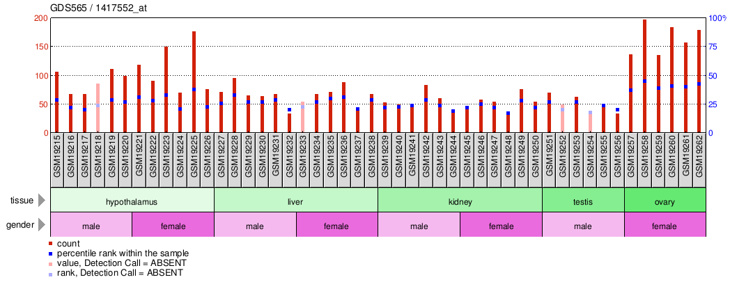 Gene Expression Profile