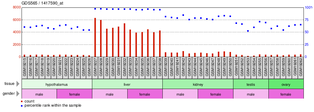 Gene Expression Profile