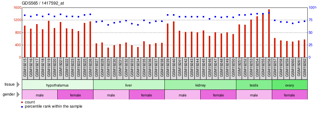 Gene Expression Profile