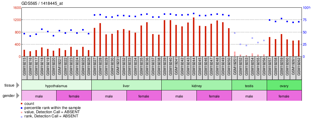 Gene Expression Profile