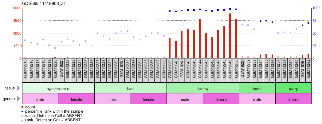 Gene Expression Profile