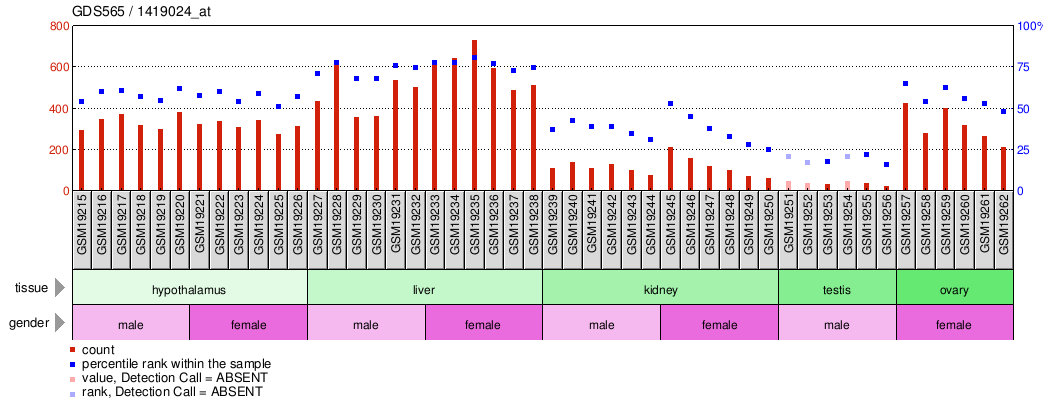 Gene Expression Profile