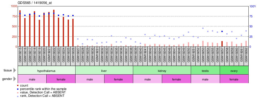 Gene Expression Profile